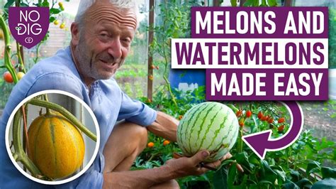 memons tube|melons videos